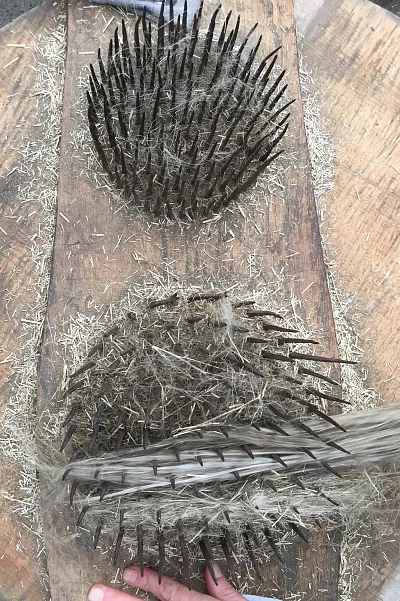 Der „Hechel“ kämmt die Fasern und trennt sie von letzten Strohstücken.